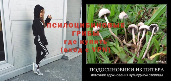 MESCALINE Баксан
