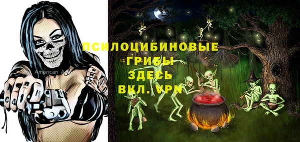 гашик Балабаново