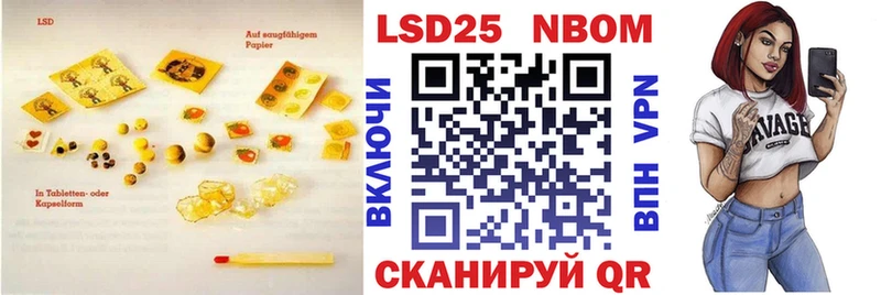 LSD-25 экстази кислота  блэк спрут ONION  даркнет клад  Новая Ладога 