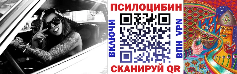Галлюциногенные грибы Psilocybine cubensis  Новая Ладога 